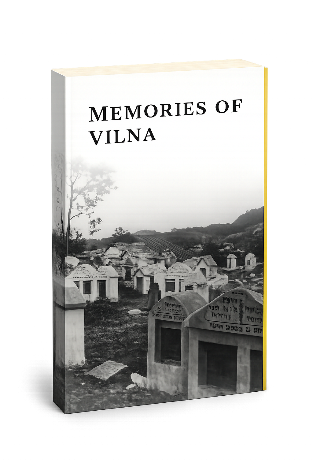 vilna